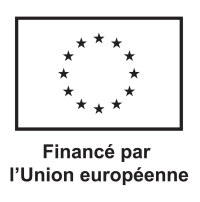 fr-v-finance-par-lue-balck-outline